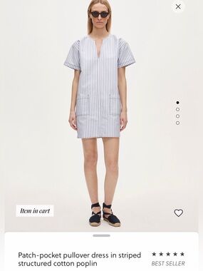 NWT J. Crew Striped Patch-Pocket Poplin Pullover Dress - Blue/White, size small